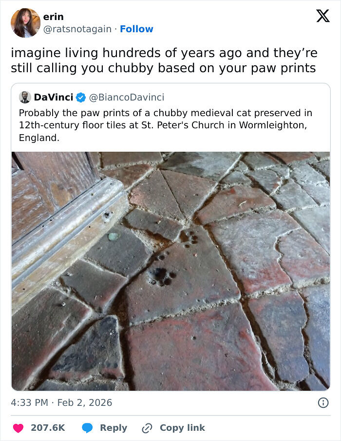 35 Hilarious Memes And Roasts That You Might Not Have Been Prepared For Today