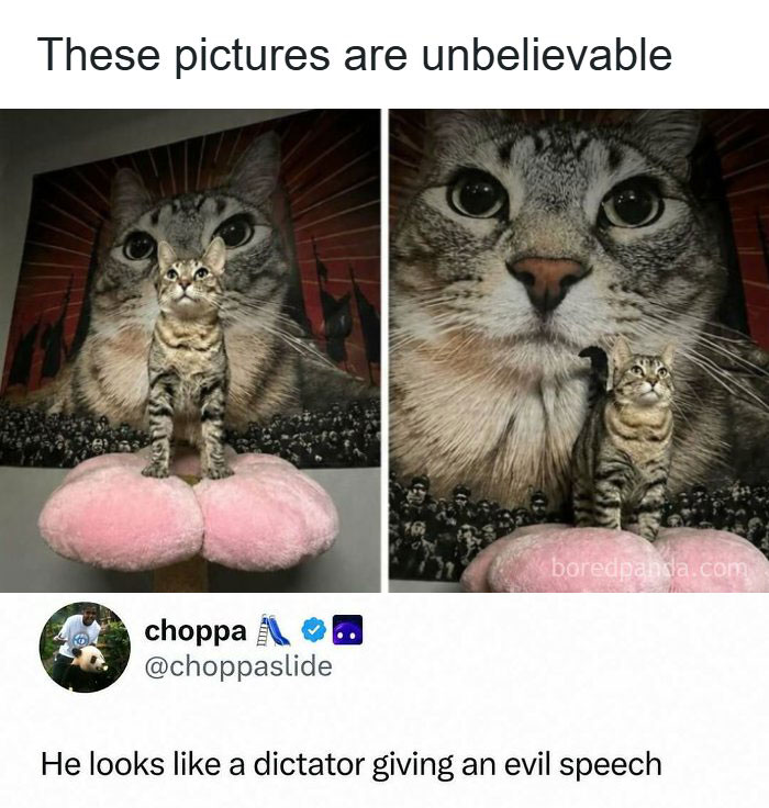 35 Hilarious Memes And Roasts That You Might Not Have Been Prepared For Today