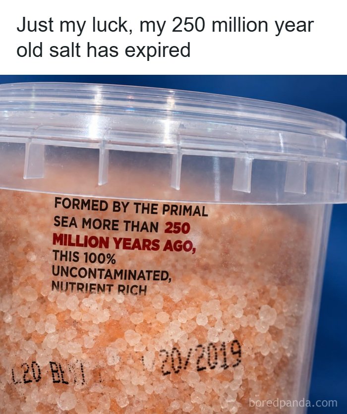 35 Hilarious Memes And Roasts That You Might Not Have Been Prepared For Today
