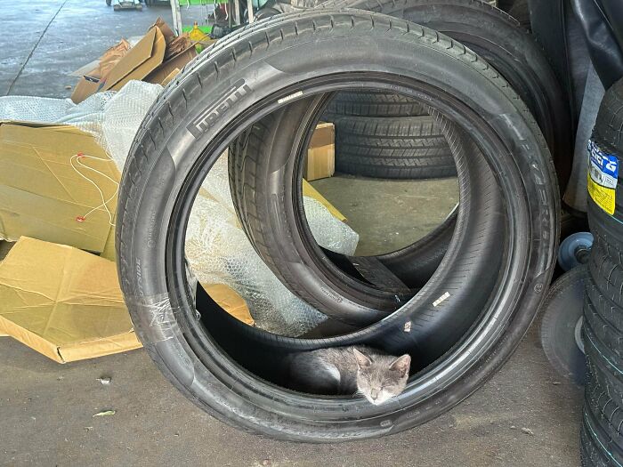 99 Times Car Mechanics Had To Take Pics Of What They Were Dealing With So Others Would Believe Them (New Pics) 99 Times Car Mechanics Had To Take Pics Of What They Were Dealing With So Others Would Believe Them (New Pics)