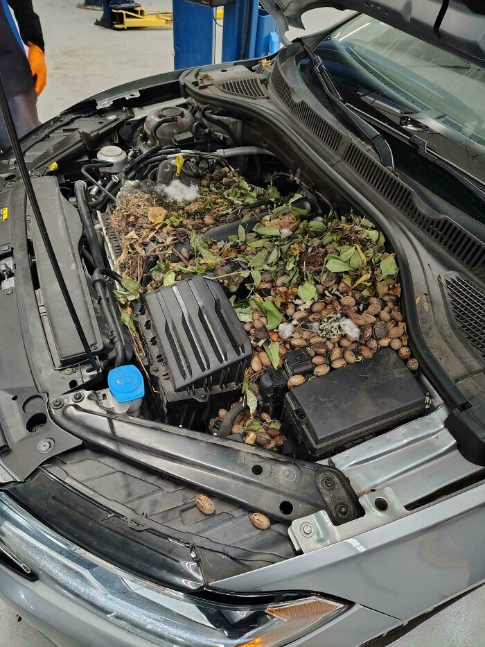 99 Times Car Mechanics Had To Take Pics Of What They Were Dealing With So Others Would Believe Them (New Pics) 99 Times Car Mechanics Had To Take Pics Of What They Were Dealing With So Others Would Believe Them (New Pics)