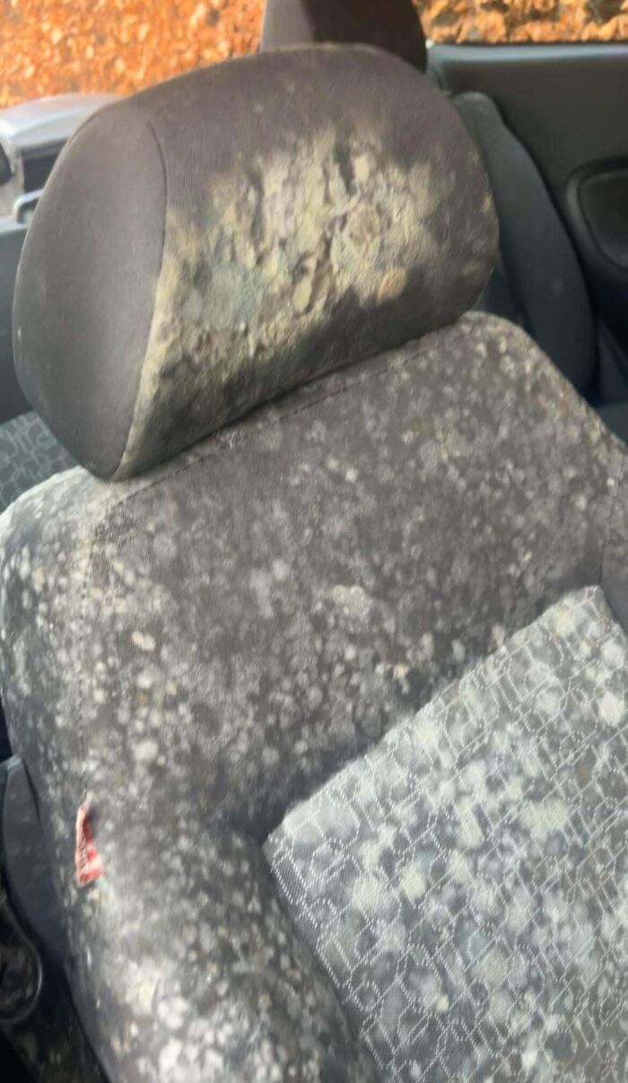 99 Times Car Mechanics Had To Take Pics Of What They Were Dealing With So Others Would Believe Them (New Pics) 99 Times Car Mechanics Had To Take Pics Of What They Were Dealing With So Others Would Believe Them (New Pics)