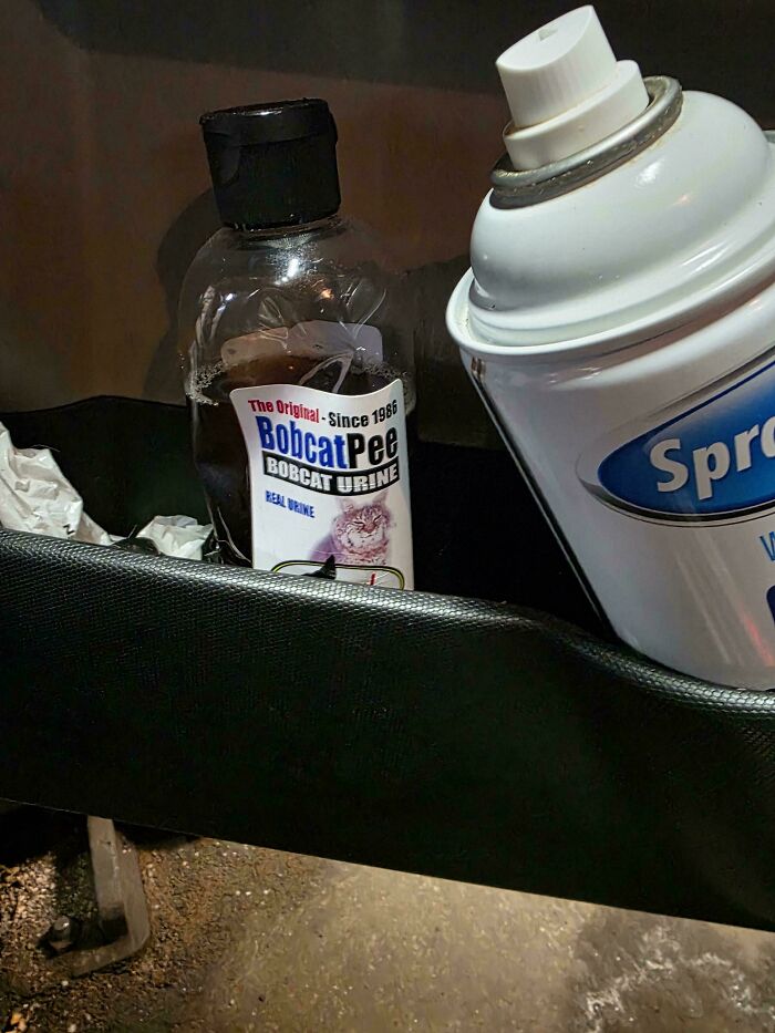 99 Times Car Mechanics Had To Take Pics Of What They Were Dealing With So Others Would Believe Them (New Pics) 99 Times Car Mechanics Had To Take Pics Of What They Were Dealing With So Others Would Believe Them (New Pics)