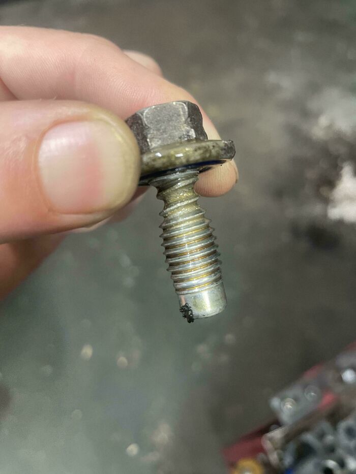 99 Times Car Mechanics Had To Take Pics Of What They Were Dealing With So Others Would Believe Them (New Pics) 99 Times Car Mechanics Had To Take Pics Of What They Were Dealing With So Others Would Believe Them (New Pics)