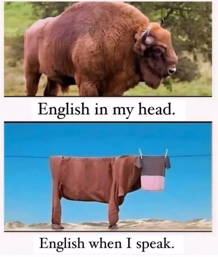 6.6M People On X Are Entertained By These 55 Memes Shared On &ldquo;No Context Humans&rdquo; Account