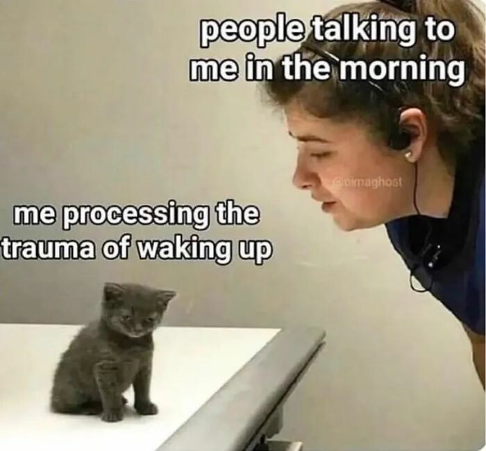 6.6M People On X Are Entertained By These 55 Memes Shared On &ldquo;No Context Humans&rdquo; Account