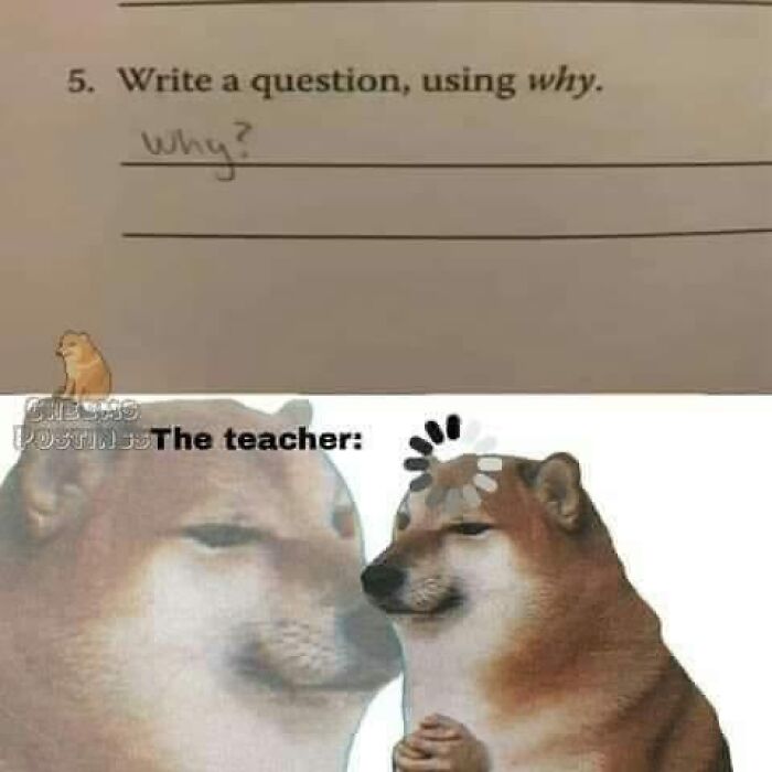 6.6M People On X Are Entertained By These 55 Memes Shared On &ldquo;No Context Humans&rdquo; Account