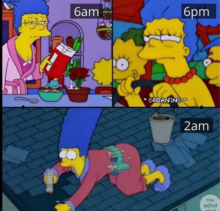 6.6M People On X Are Entertained By These 55 Memes Shared On &ldquo;No Context Humans&rdquo; Account