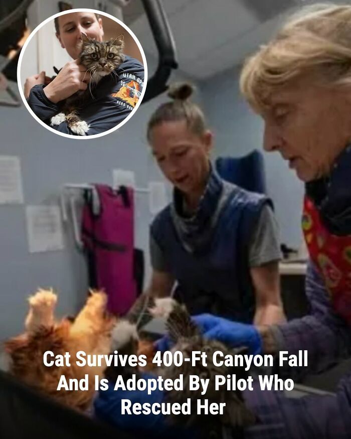 This Page Shared The Stories Of 34 Animals Whose Lives Changed After Someone Finally Came To Help (New Pics) This Page Shared The Stories Of 34 Animals Whose Lives Changed After Someone Finally Came To Help (New Pics)