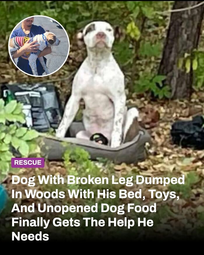 This Page Shared The Stories Of 34 Animals Whose Lives Changed After Someone Finally Came To Help (New Pics) This Page Shared The Stories Of 34 Animals Whose Lives Changed After Someone Finally Came To Help (New Pics)