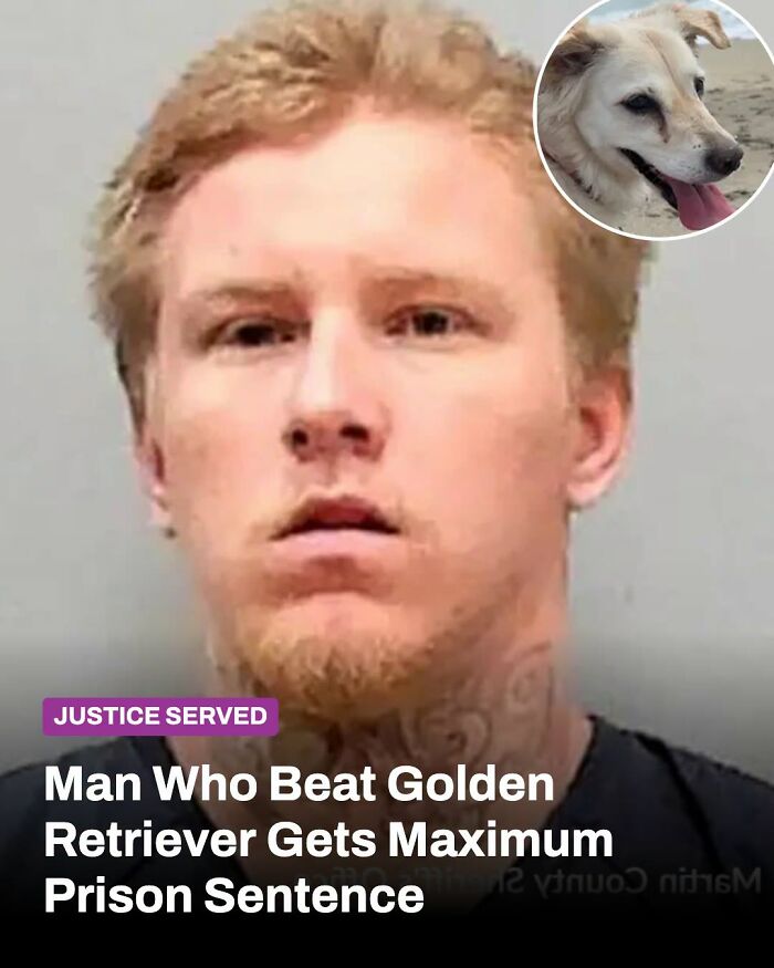 This Page Shared The Stories Of 34 Animals Whose Lives Changed After Someone Finally Came To Help (New Pics) This Page Shared The Stories Of 34 Animals Whose Lives Changed After Someone Finally Came To Help (New Pics)