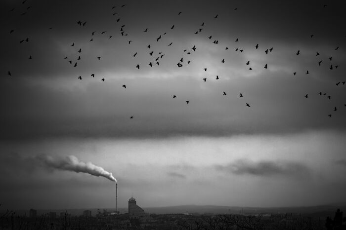 The 2026 iPhone Photography Awards Revealed 39 Extraordinary Winning Photos From Around The World