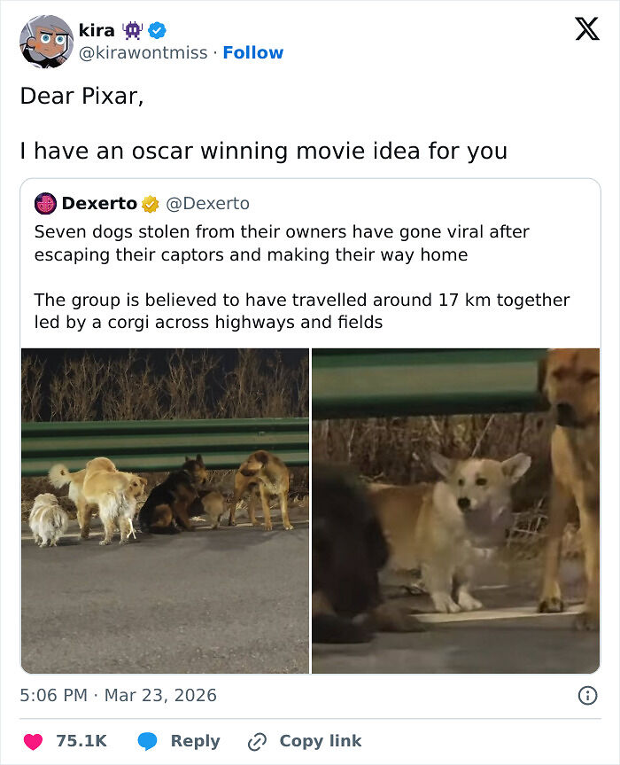 80 Hilarious Cinephile Tweets That Prove Movie People Are A Very Special Kind Of Unhinged 80 Hilarious Cinephile Tweets That Prove Movie People Are A Very Special Kind Of Unhinged