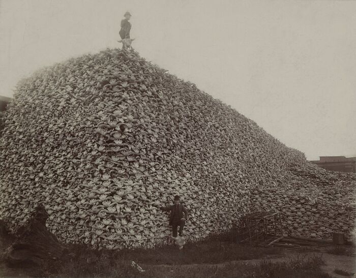 Unsettling Moments In History That Have Been Immortalized In Pictures, And Here Are 39 Of Them Unsettling Moments In History That Have Been Immortalized In Pictures, And Here Are 39 Of Them