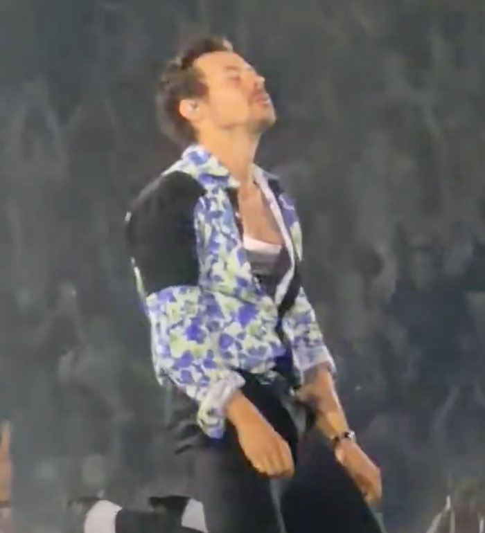 Harry Styles’ “Package” Accidentally Exposed On Stage Due To Wardrobe Malfunction Harry Styles’ “Package” Accidentally Exposed On Stage Due To Wardrobe Malfunction