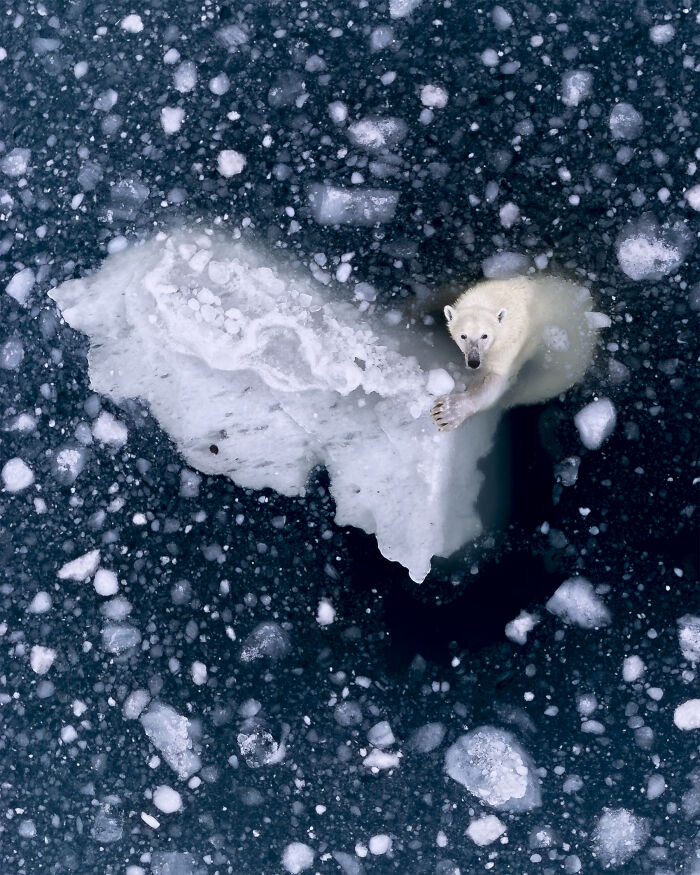 Spectacular Photos Awarded At The 2026 International Aerial Photographer Of The Year Competition (50 Pics) Spectacular Photos Awarded At The 2026 International Aerial Photographer Of The Year Competition (50 Pics)