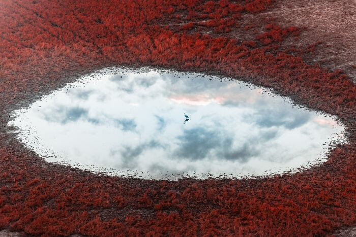 Spectacular Photos Awarded At The 2026 International Aerial Photographer Of The Year Competition (50 Pics) Spectacular Photos Awarded At The 2026 International Aerial Photographer Of The Year Competition (50 Pics)