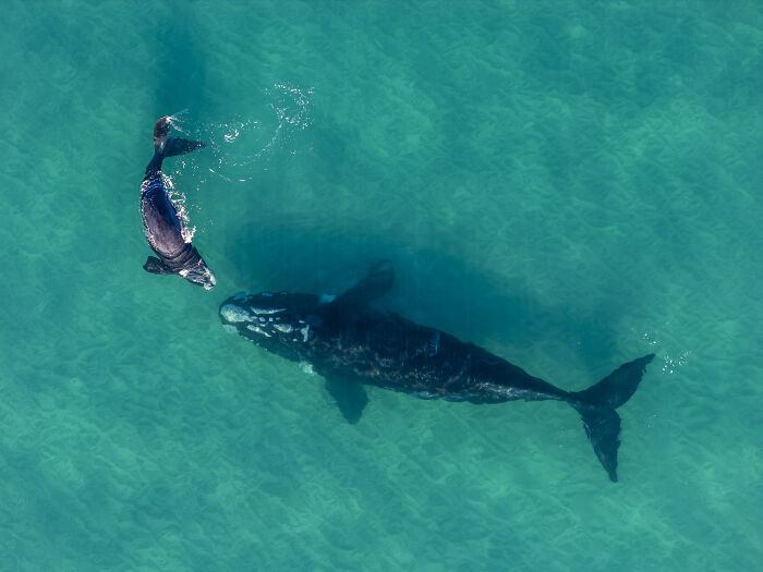 Spectacular Photos Awarded At The 2026 International Aerial Photographer Of The Year Competition (50 Pics) Spectacular Photos Awarded At The 2026 International Aerial Photographer Of The Year Competition (50 Pics)