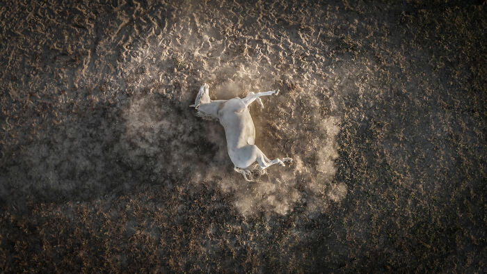 Spectacular Photos Awarded At The 2026 International Aerial Photographer Of The Year Competition (50 Pics) Spectacular Photos Awarded At The 2026 International Aerial Photographer Of The Year Competition (50 Pics)