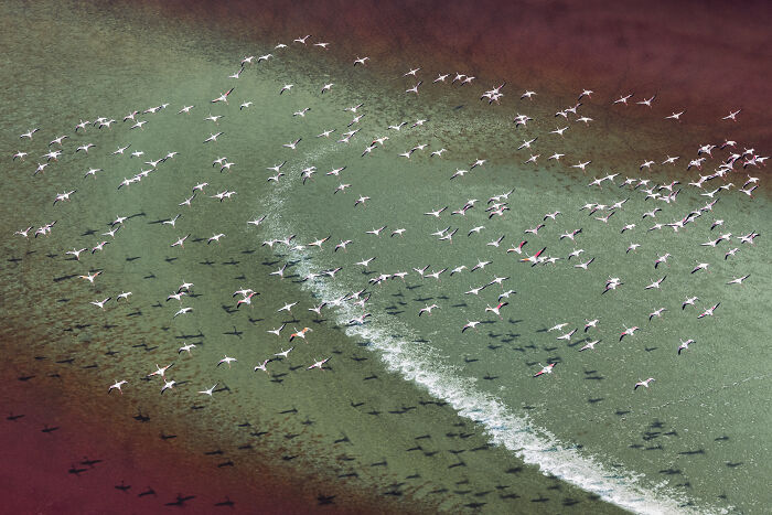 Spectacular Photos Awarded At The 2026 International Aerial Photographer Of The Year Competition (50 Pics) Spectacular Photos Awarded At The 2026 International Aerial Photographer Of The Year Competition (50 Pics)