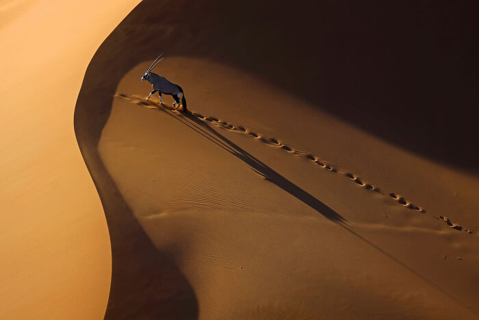 Spectacular Photos Awarded At The 2026 International Aerial Photographer Of The Year Competition (50 Pics) Spectacular Photos Awarded At The 2026 International Aerial Photographer Of The Year Competition (50 Pics)