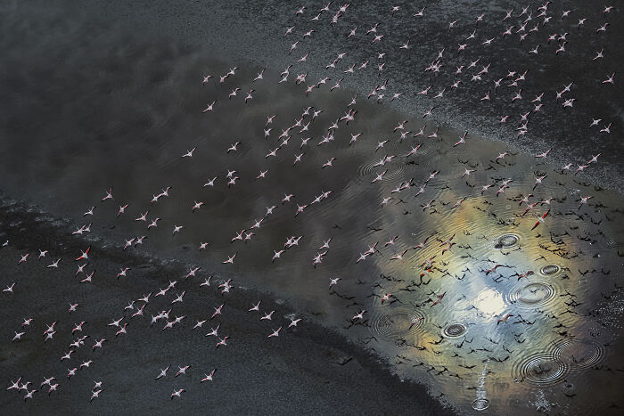 Spectacular Photos Awarded At The 2026 International Aerial Photographer Of The Year Competition (50 Pics) Spectacular Photos Awarded At The 2026 International Aerial Photographer Of The Year Competition (50 Pics)