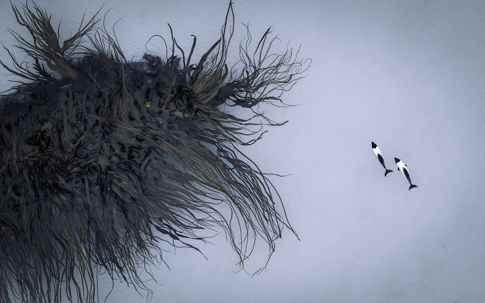 Spectacular Photos Awarded At The 2026 International Aerial Photographer Of The Year Competition (50 Pics) Spectacular Photos Awarded At The 2026 International Aerial Photographer Of The Year Competition (50 Pics)