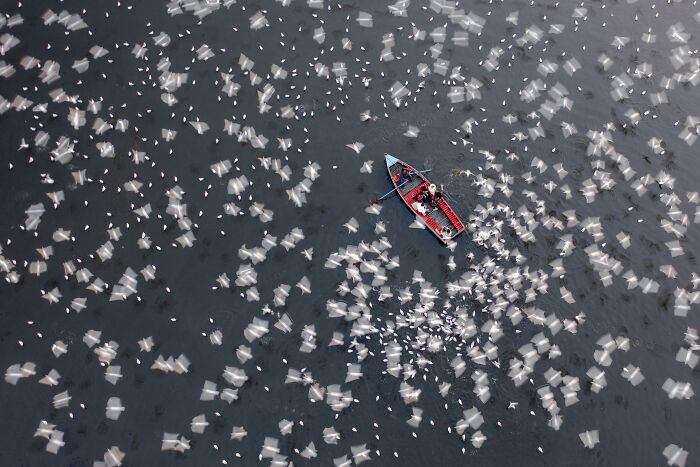 Spectacular Photos Awarded At The 2026 International Aerial Photographer Of The Year Competition (50 Pics) Spectacular Photos Awarded At The 2026 International Aerial Photographer Of The Year Competition (50 Pics)