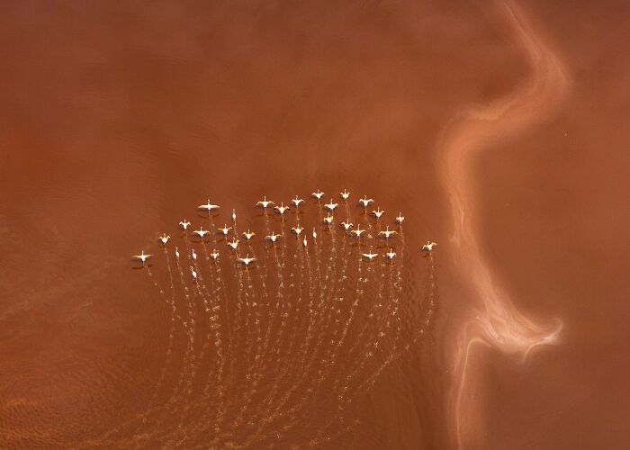 Spectacular Photos Awarded At The 2026 International Aerial Photographer Of The Year Competition (50 Pics) Spectacular Photos Awarded At The 2026 International Aerial Photographer Of The Year Competition (50 Pics)