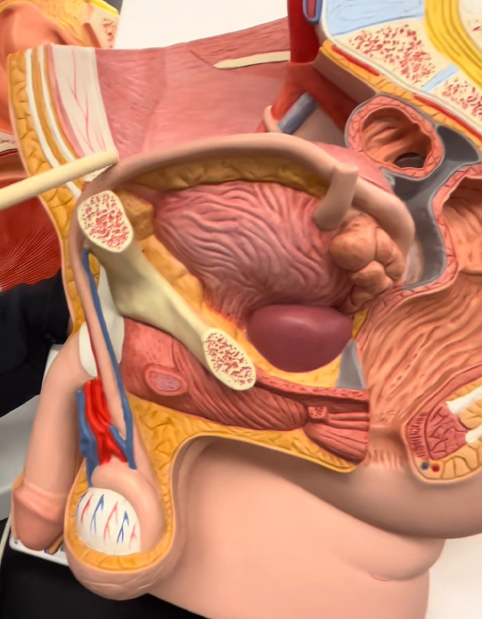 Urologist Explains What ‘Normal’ Private Parts Actually Look Like As He Urges People To Be Aware Of ‘Red Flag’ Urologist Explains What ‘Normal’ Private Parts Actually Look Like As He Urges People To Be Aware Of ‘Red Flag’