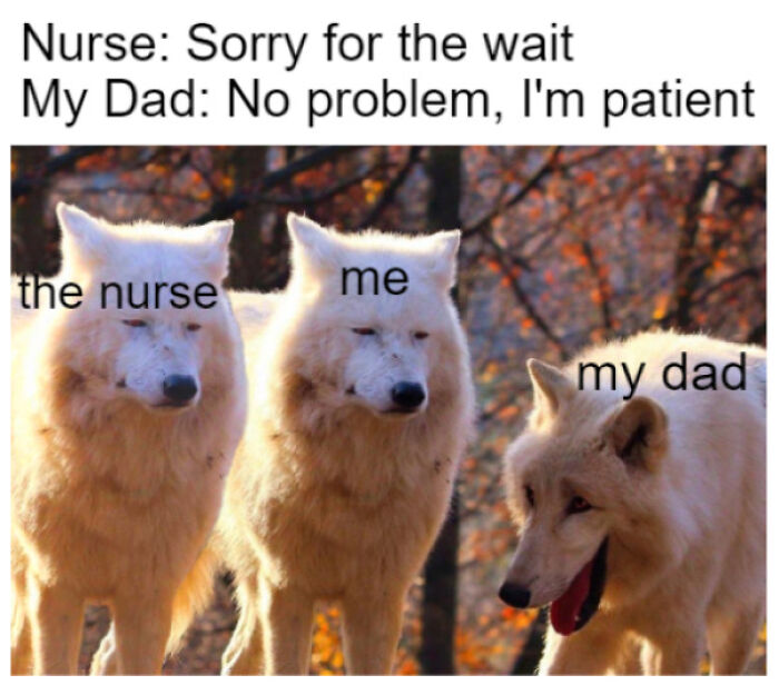 83 Incredibly Dumb Puns That Are Weirdly Impossible To Hate
