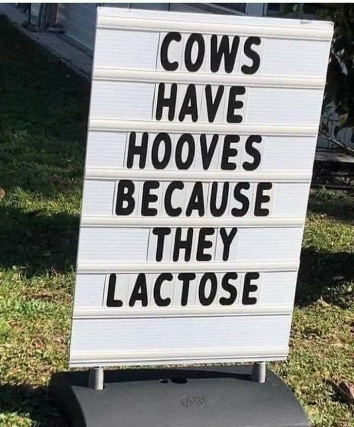 83 Incredibly Dumb Puns That Are Weirdly Impossible To Hate
