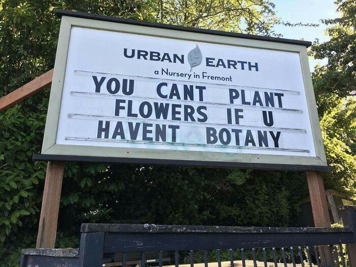 83 Incredibly Dumb Puns That Are Weirdly Impossible To Hate