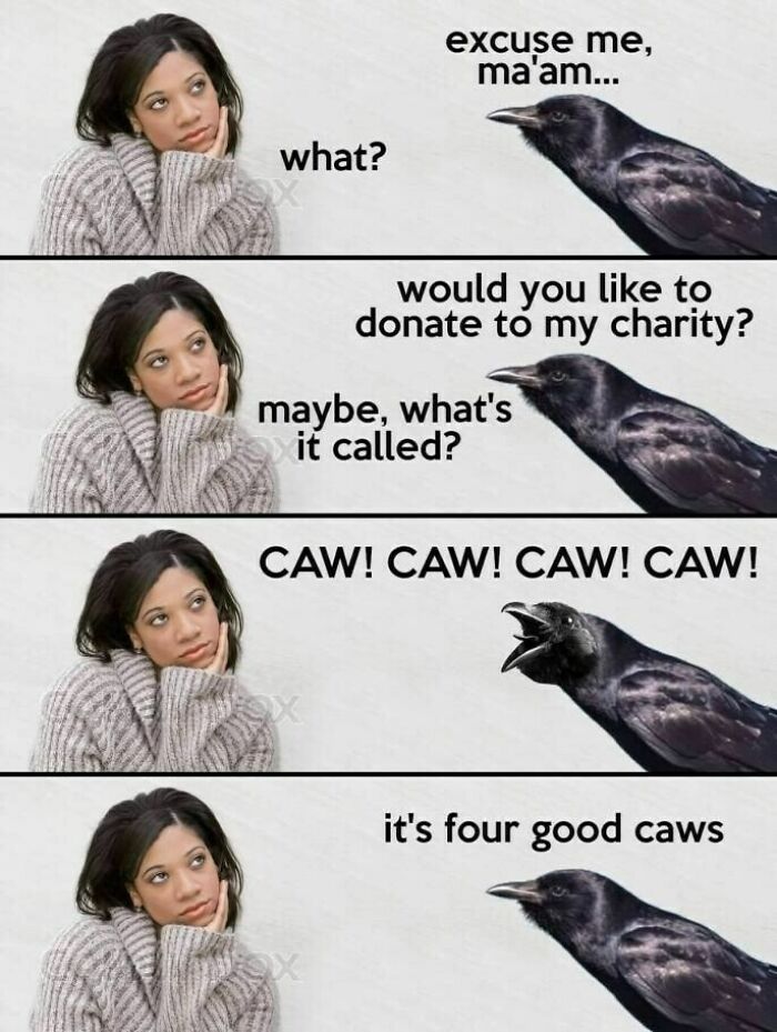 83 Incredibly Dumb Puns That Are Weirdly Impossible To Hate