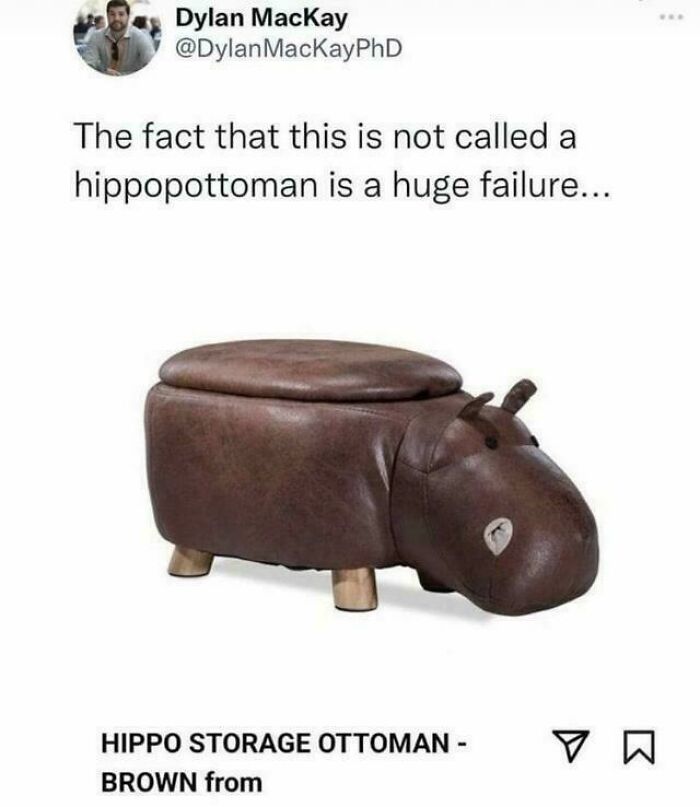 83 Incredibly Dumb Puns That Are Weirdly Impossible To Hate