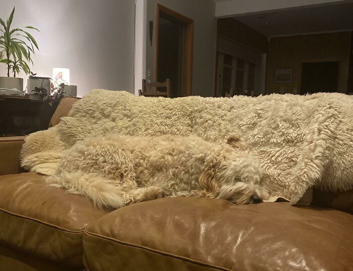 69 Photos That You May Need To Look Twice At To Understand 69 Photos That You May Need To Look Twice At To Understand