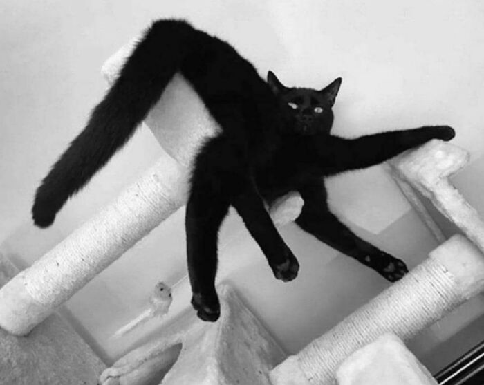 69 Photos That You May Need To Look Twice At To Understand 69 Photos That You May Need To Look Twice At To Understand