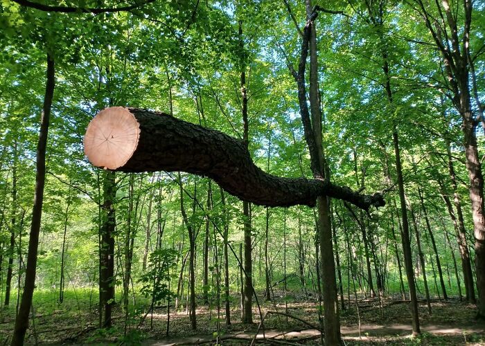 69 Photos That You May Need To Look Twice At To Understand 69 Photos That You May Need To Look Twice At To Understand