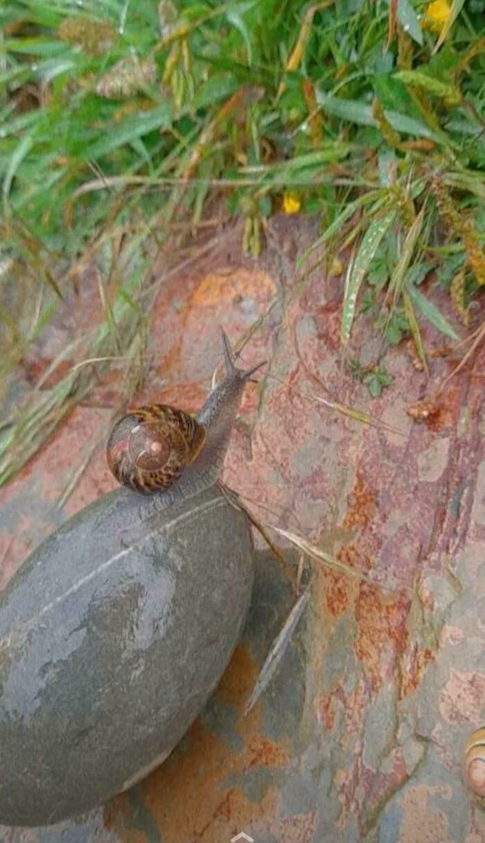 69 Photos That You May Need To Look Twice At To Understand 69 Photos That You May Need To Look Twice At To Understand