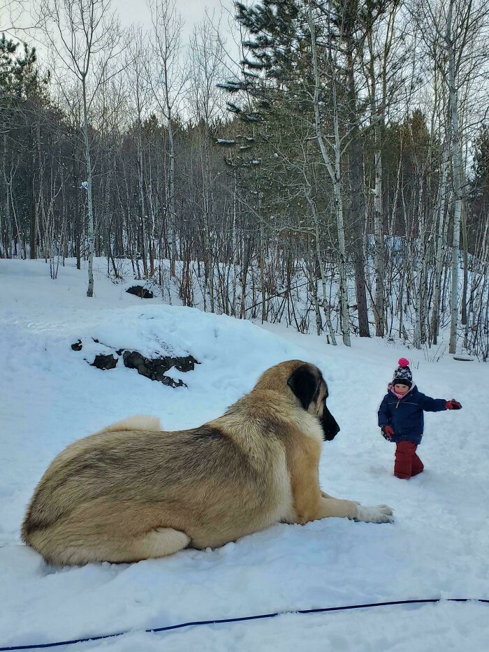 69 Photos That You May Need To Look Twice At To Understand 69 Photos That You May Need To Look Twice At To Understand