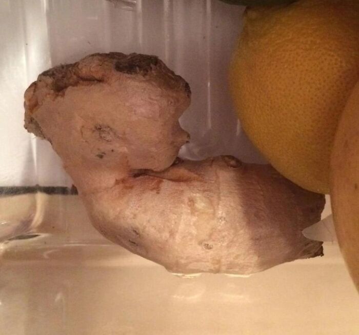 69 Photos That You May Need To Look Twice At To Understand 69 Photos That You May Need To Look Twice At To Understand