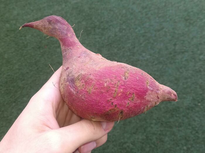 69 Photos That You May Need To Look Twice At To Understand 69 Photos That You May Need To Look Twice At To Understand