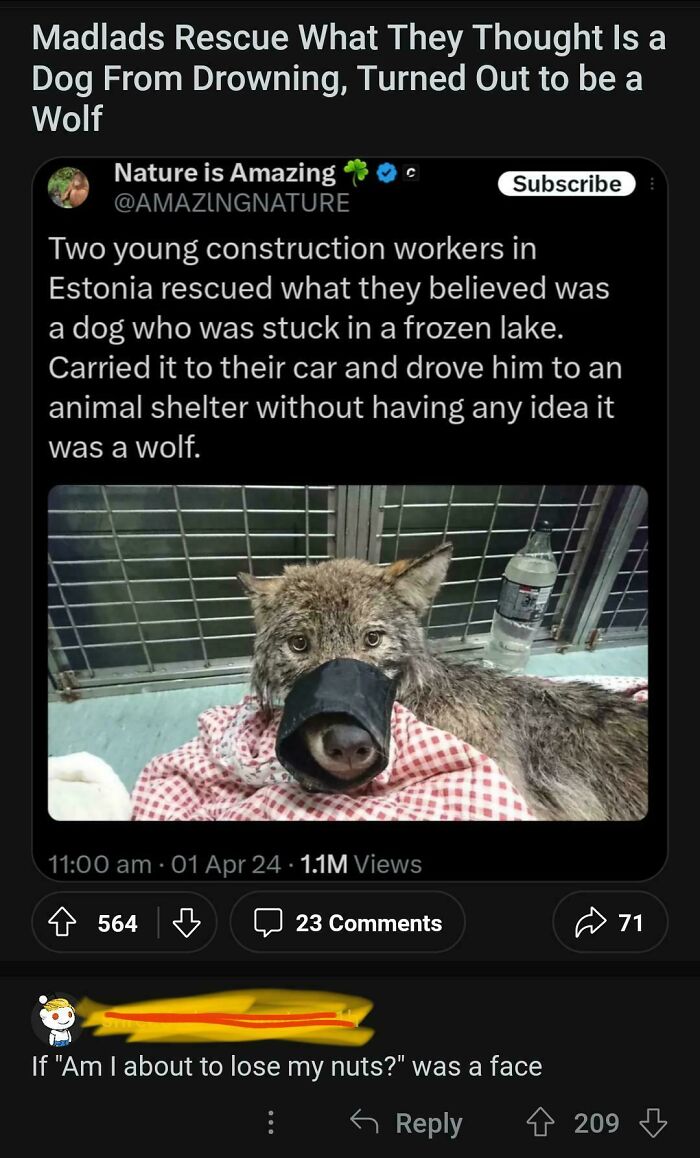 40 Funny And Savage Examples That Show Why You Should Always Check The Comments Section (New Pics) 40 Funny And Savage Examples That Show Why You Should Always Check The Comments Section (New Pics)