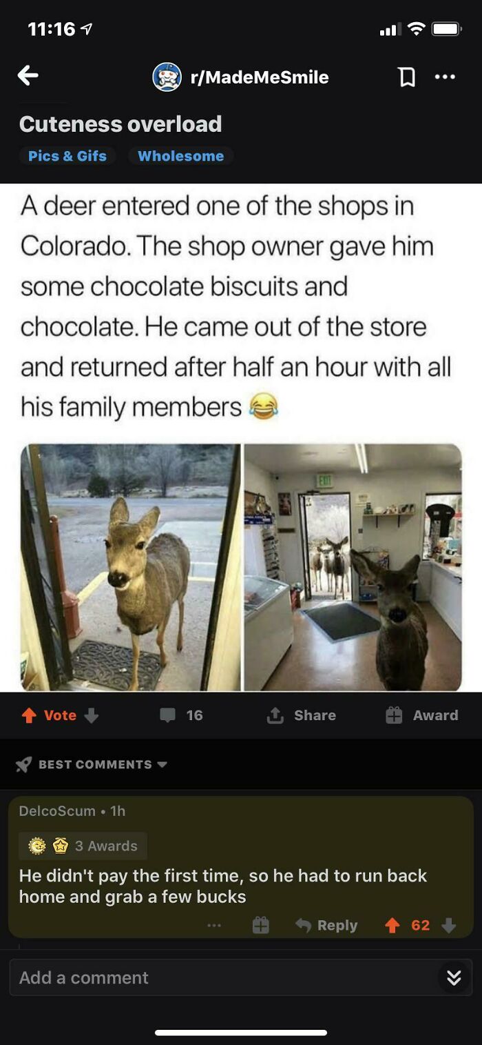 40 Funny And Savage Examples That Show Why You Should Always Check The Comments Section (New Pics) 40 Funny And Savage Examples That Show Why You Should Always Check The Comments Section (New Pics)