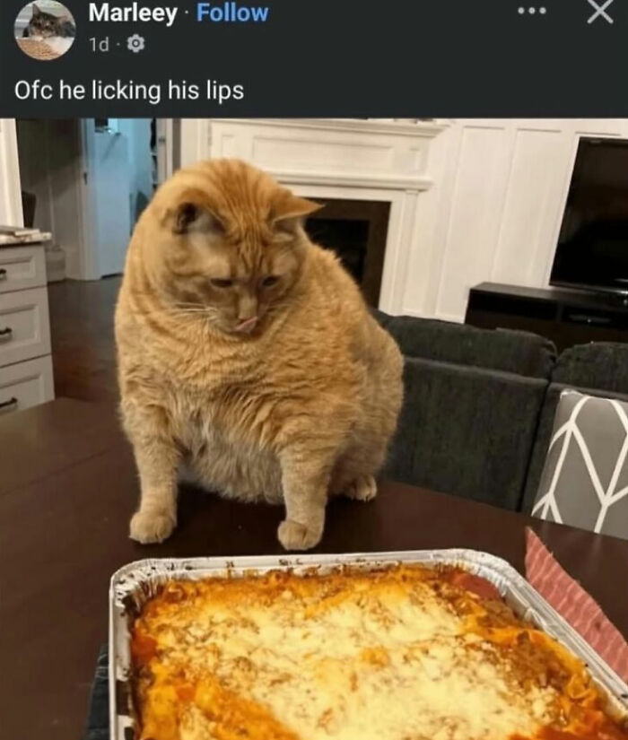 99 Hilariously Unhinged Screenshots That Were Too Funny Not To Share 99 Hilariously Unhinged Screenshots That Were Too Funny Not To Share