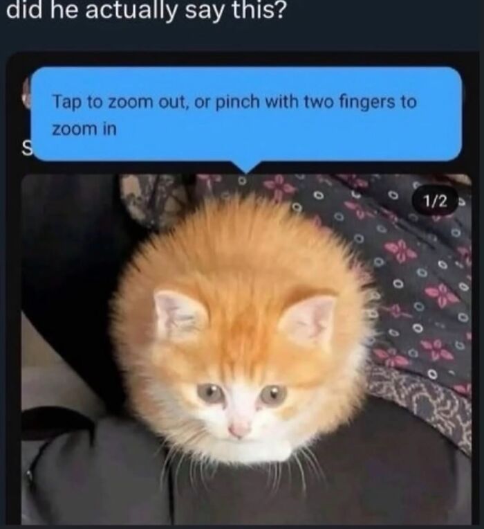 99 Hilariously Unhinged Screenshots That Were Too Funny Not To Share 99 Hilariously Unhinged Screenshots That Were Too Funny Not To Share