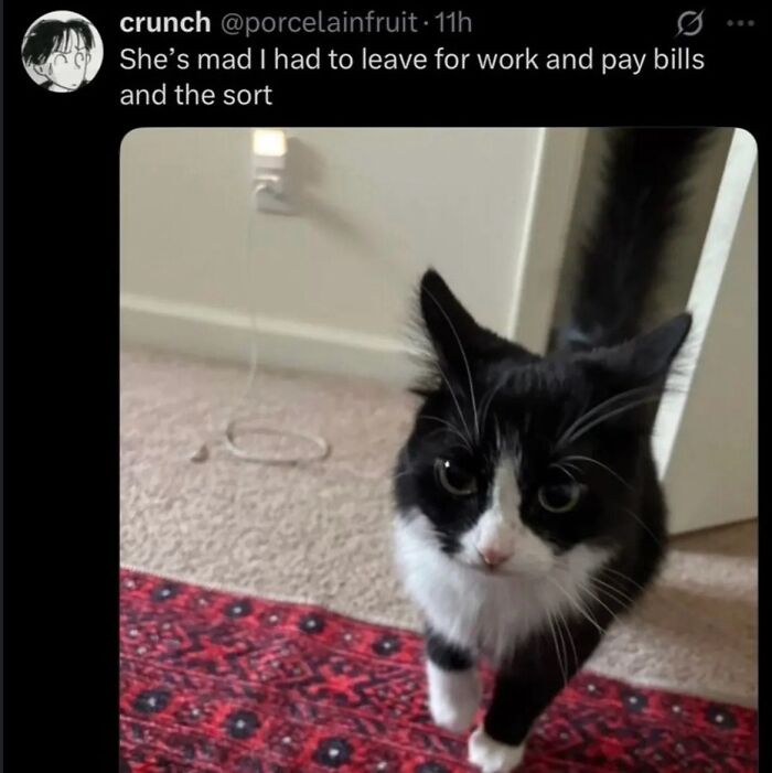 99 Hilariously Unhinged Screenshots That Were Too Funny Not To Share 99 Hilariously Unhinged Screenshots That Were Too Funny Not To Share