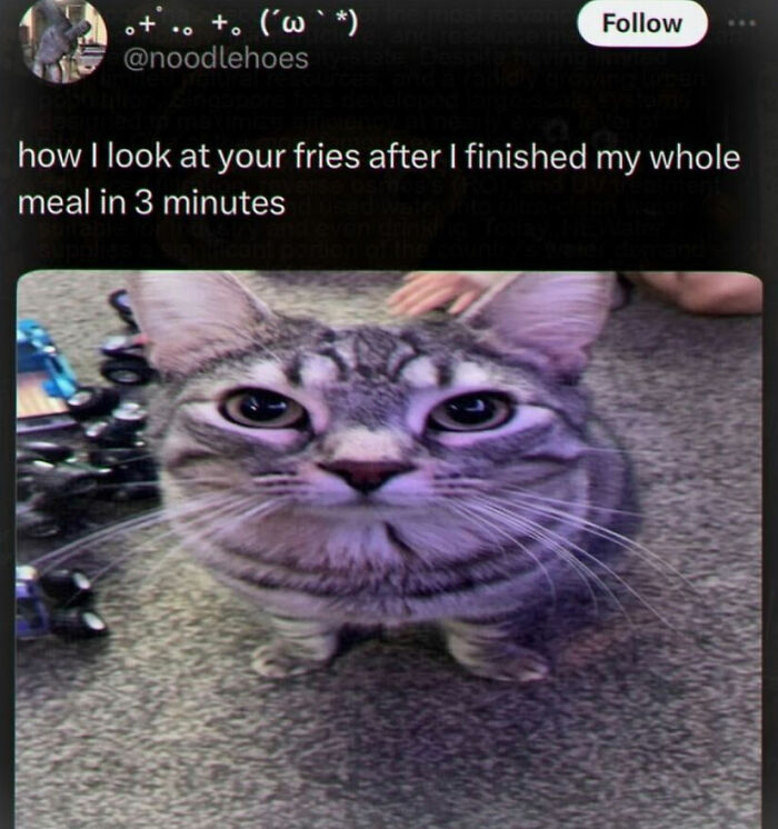 99 Hilariously Unhinged Screenshots That Were Too Funny Not To Share 99 Hilariously Unhinged Screenshots That Were Too Funny Not To Share