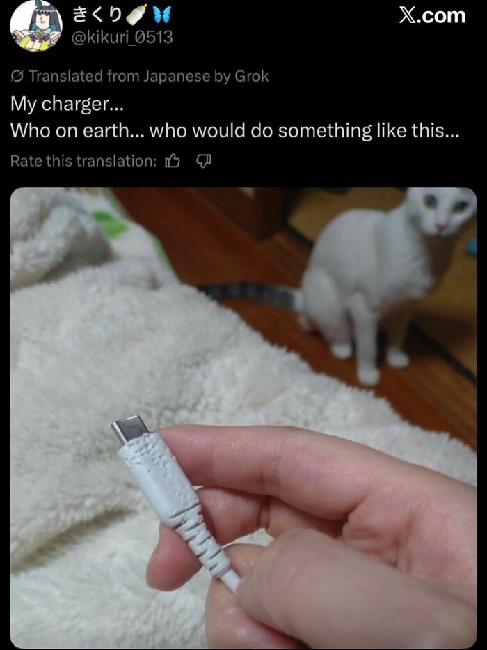 99 Hilariously Unhinged Screenshots That Were Too Funny Not To Share 99 Hilariously Unhinged Screenshots That Were Too Funny Not To Share