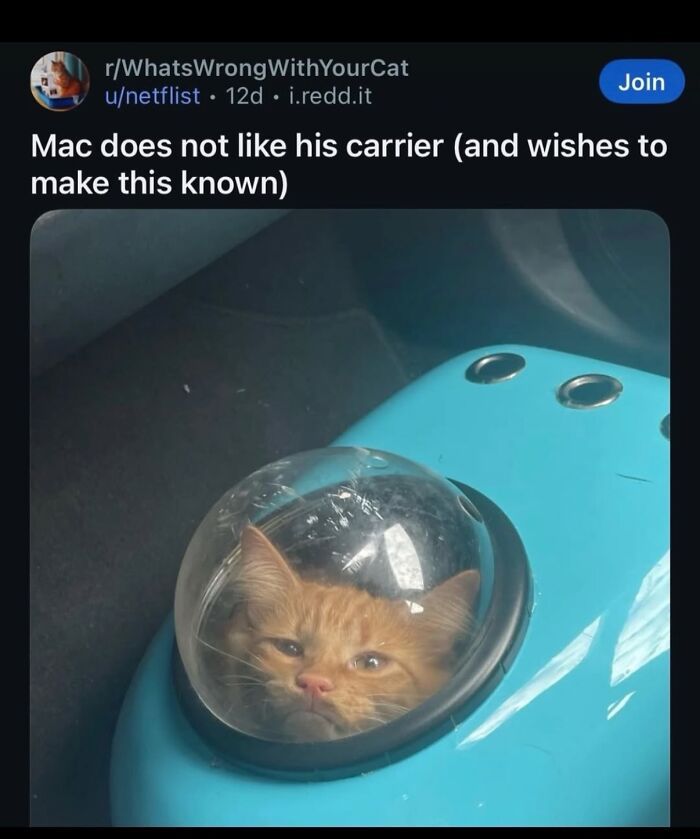 99 Hilariously Unhinged Screenshots That Were Too Funny Not To Share 99 Hilariously Unhinged Screenshots That Were Too Funny Not To Share